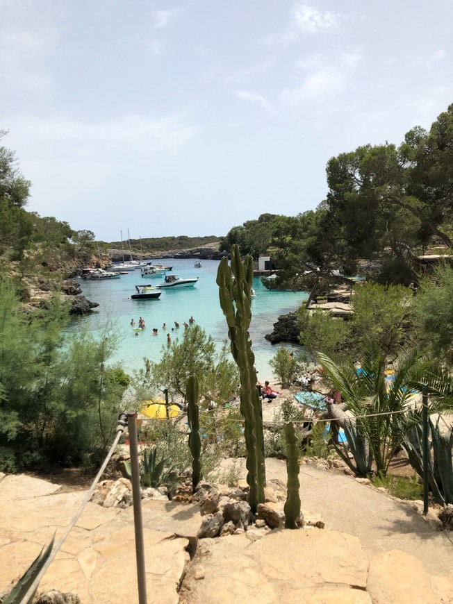 Place Cala Mitjana