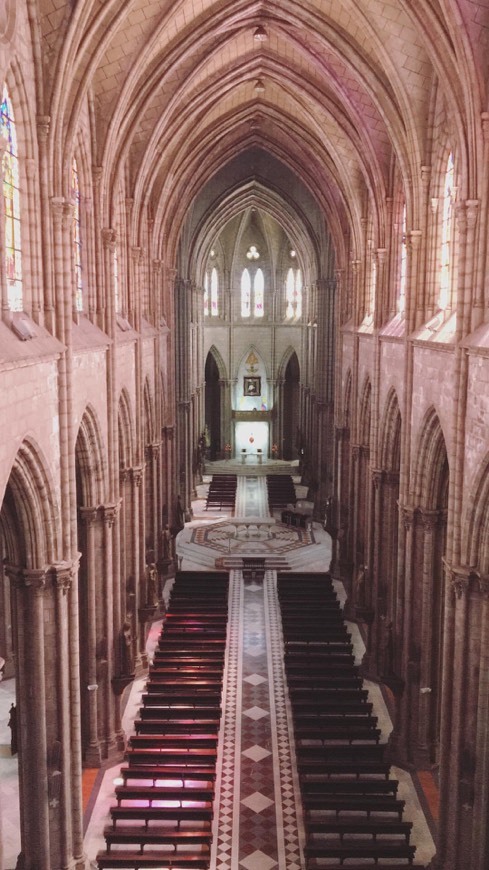 Lugar Basílica del Voto Nacional