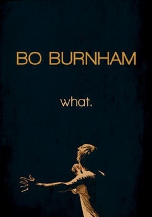 Película Bo Burnham: What.