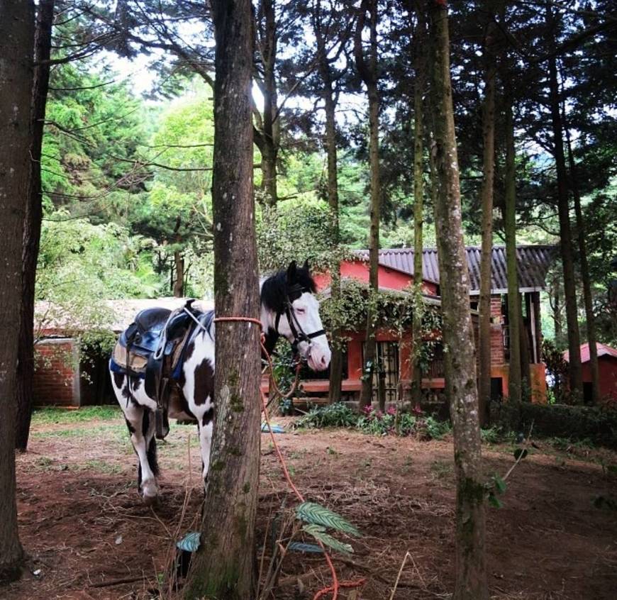 Lugar Finca Los Naranjos