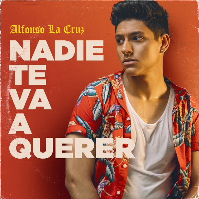 Canción Nadie Te Va A Querer