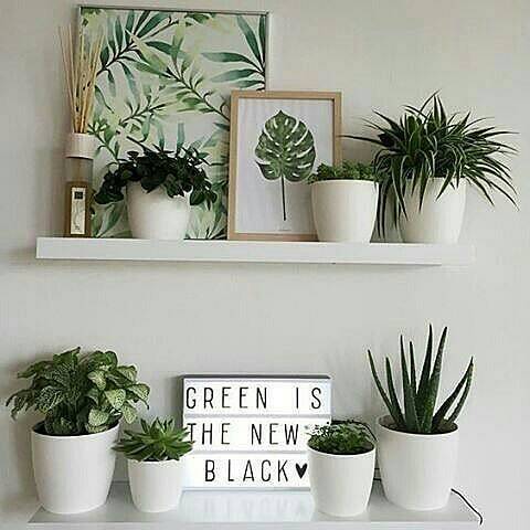 Fashion Decoración de baldas Aesthetic 🌿