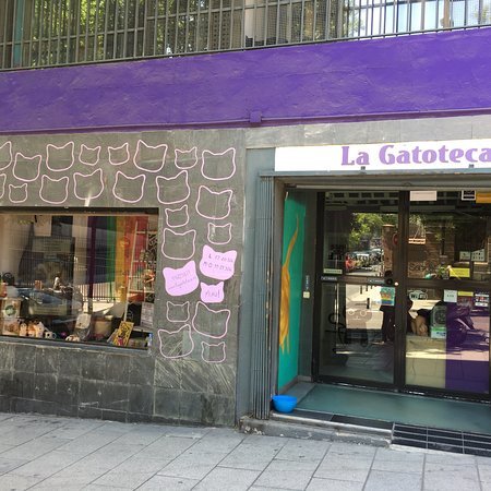 Place La Gatoteca