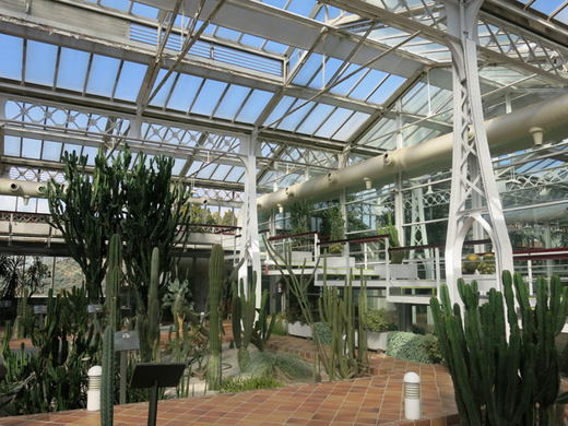 Invernadero del Palacio de Cristal de Arganzuela