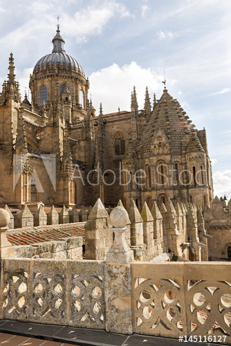 Place Catedral de Salamanca