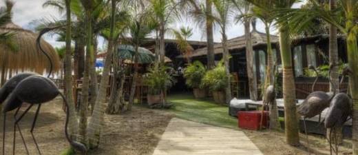 Restaurants Trocadero Playa