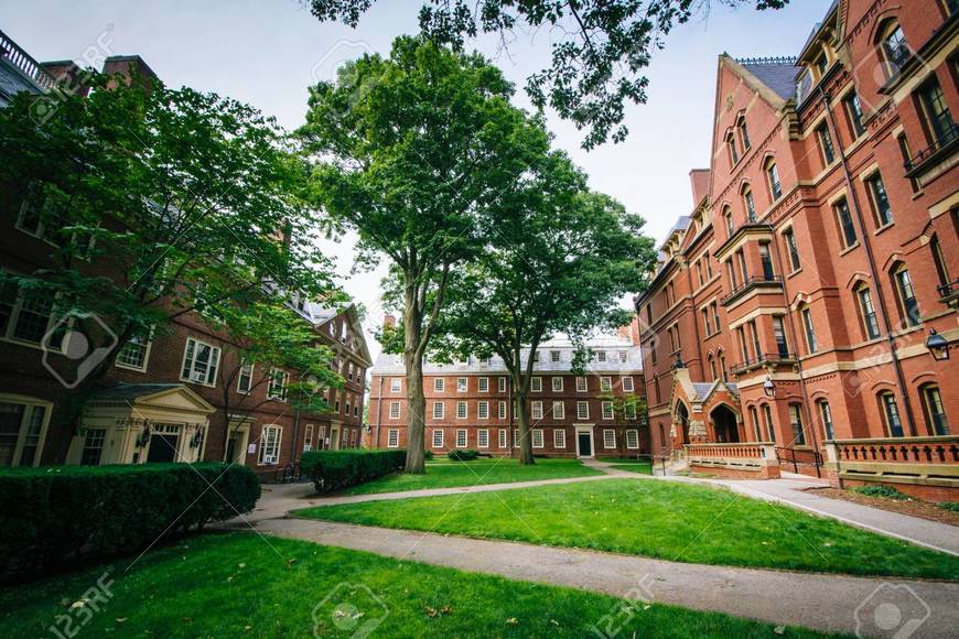 Lugar Harvard Yard