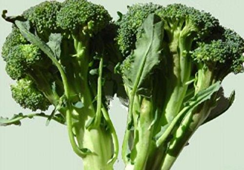 Calabrese brócoli Semillas ~ 2000ct verde que brota ~ delicioso Comida básica