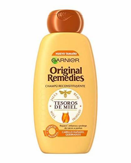 Garnier Original Remedies Champú