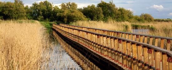 Place Tablas de Daimiel