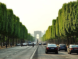 Lugares Avenida de los Campos Elíseos