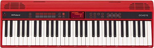 ROLAND GO-61K Teclado electrico