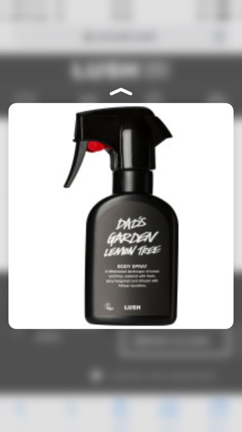 Fashion Dad's Garden Lemon Tree | -Sprays Corporales, Hidden and ...