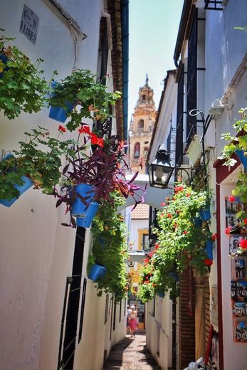 Calleja de las Flores