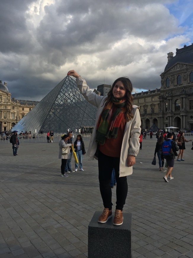 Museo del Louvre