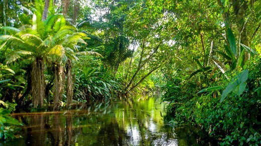 Lugar Amazonas