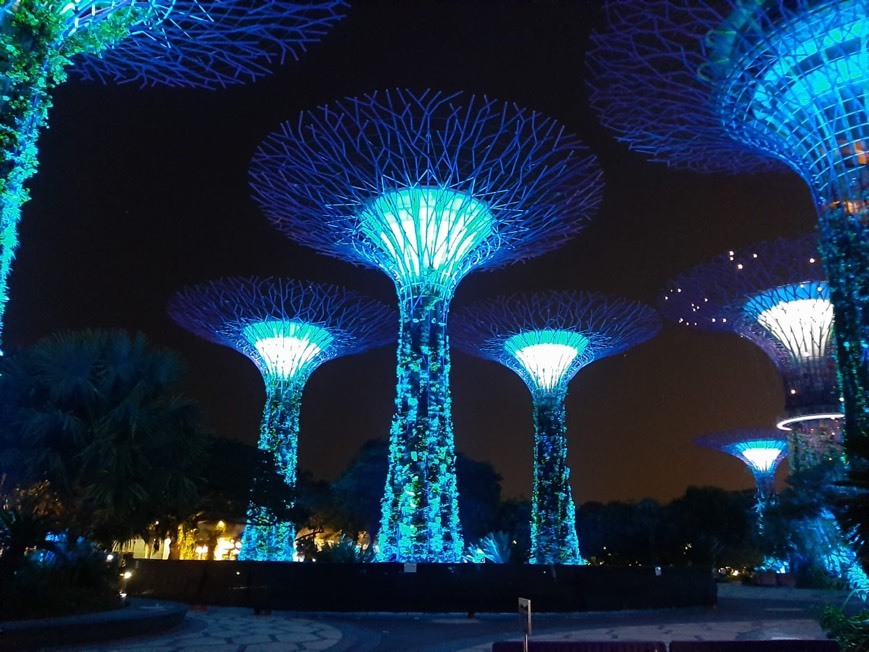 Lugar Gardens by the Bay