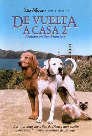 Movies Homeward Bound II: Lost in San Francisco