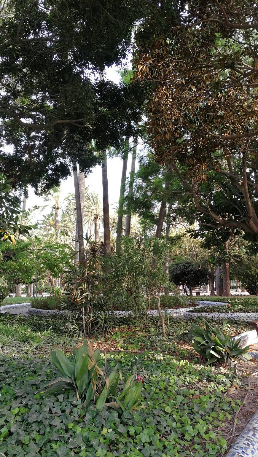 Parque Hernández
