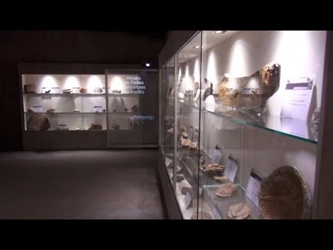 Museo de Fósiles y Minerales