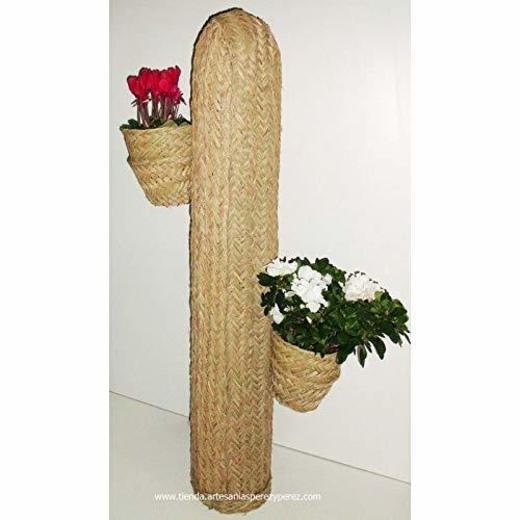 Cactus macetero de esparto 2 macetas