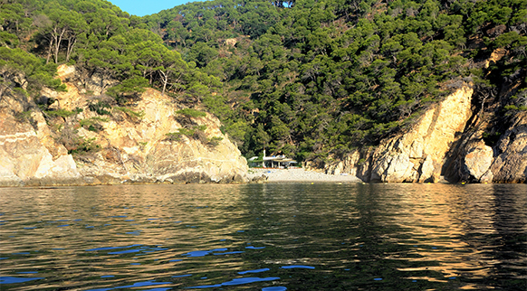 Lugar Cala Pedrosa