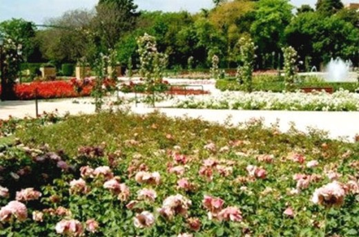 Jardines del Real o Viveros