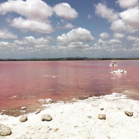 Laguna Rosa