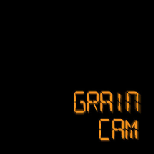 Grain Cam