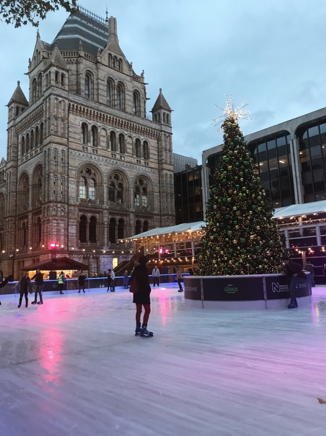 Place Natural History Museum