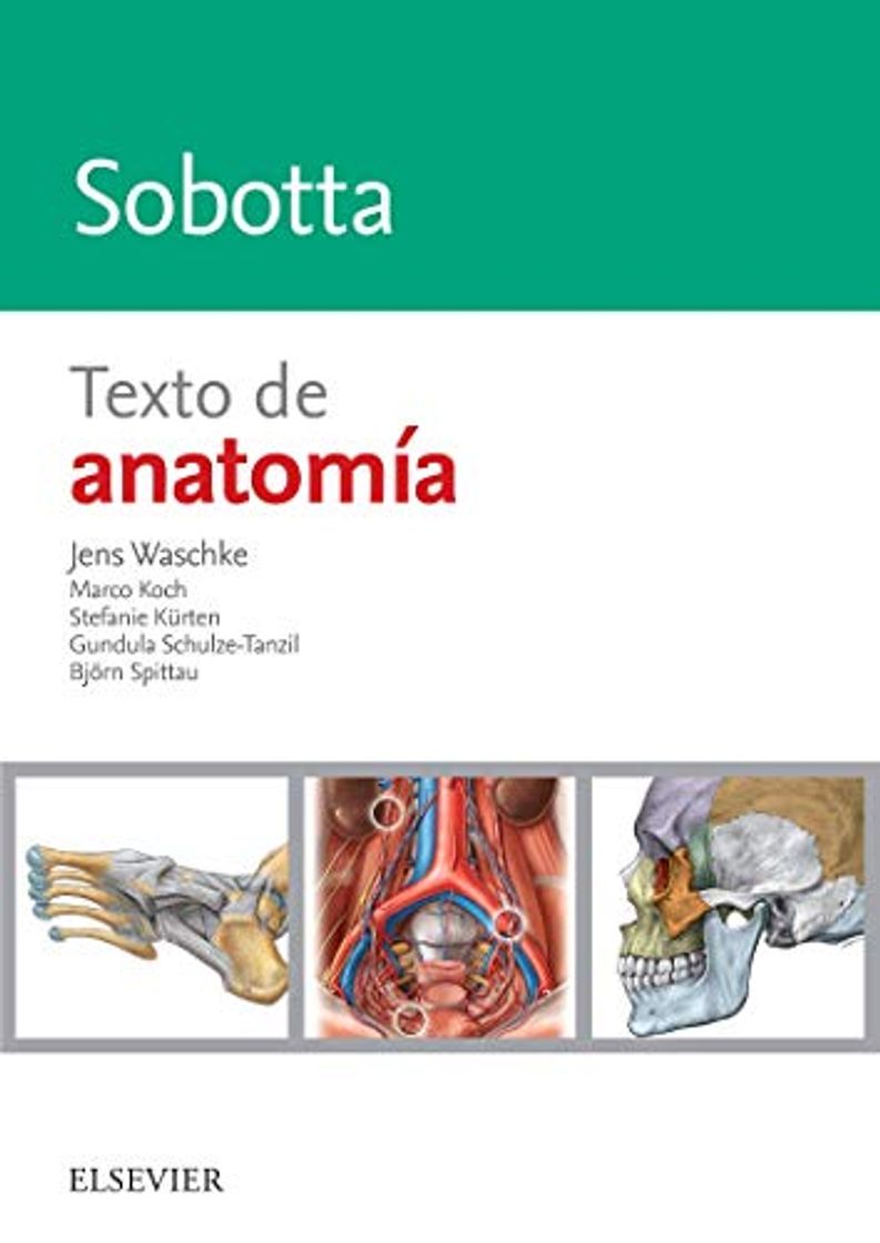 Book Sobotta. Texto de anatomía