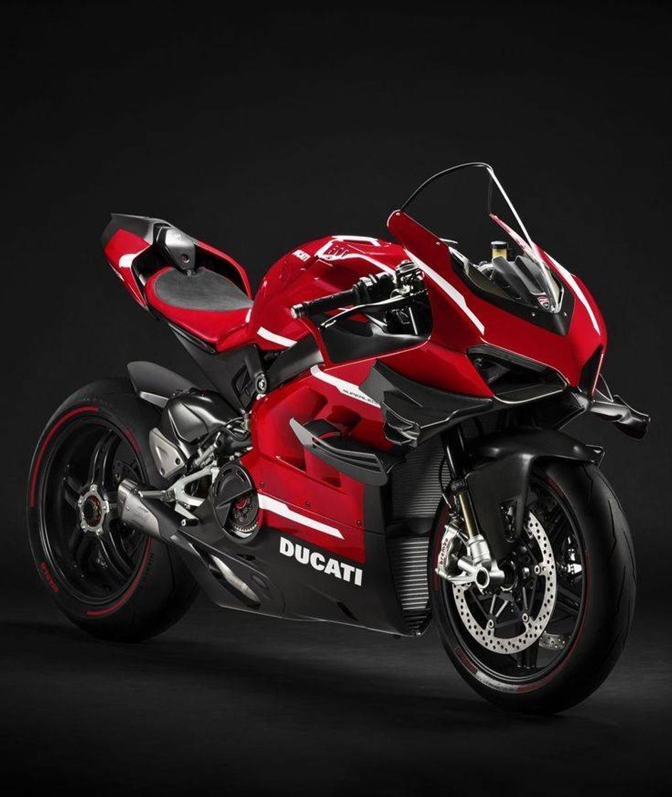 Fashion DUCATI