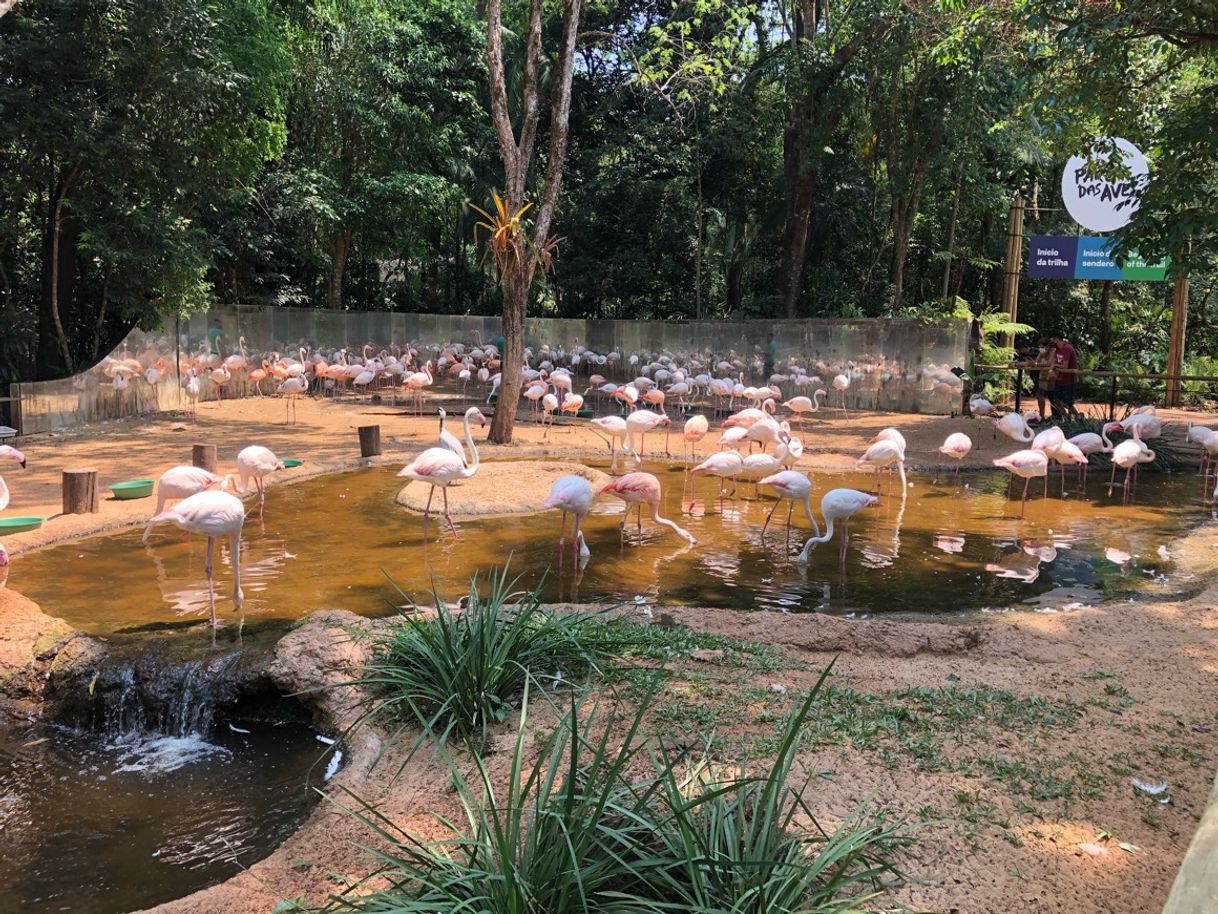 Place Parque das Aves