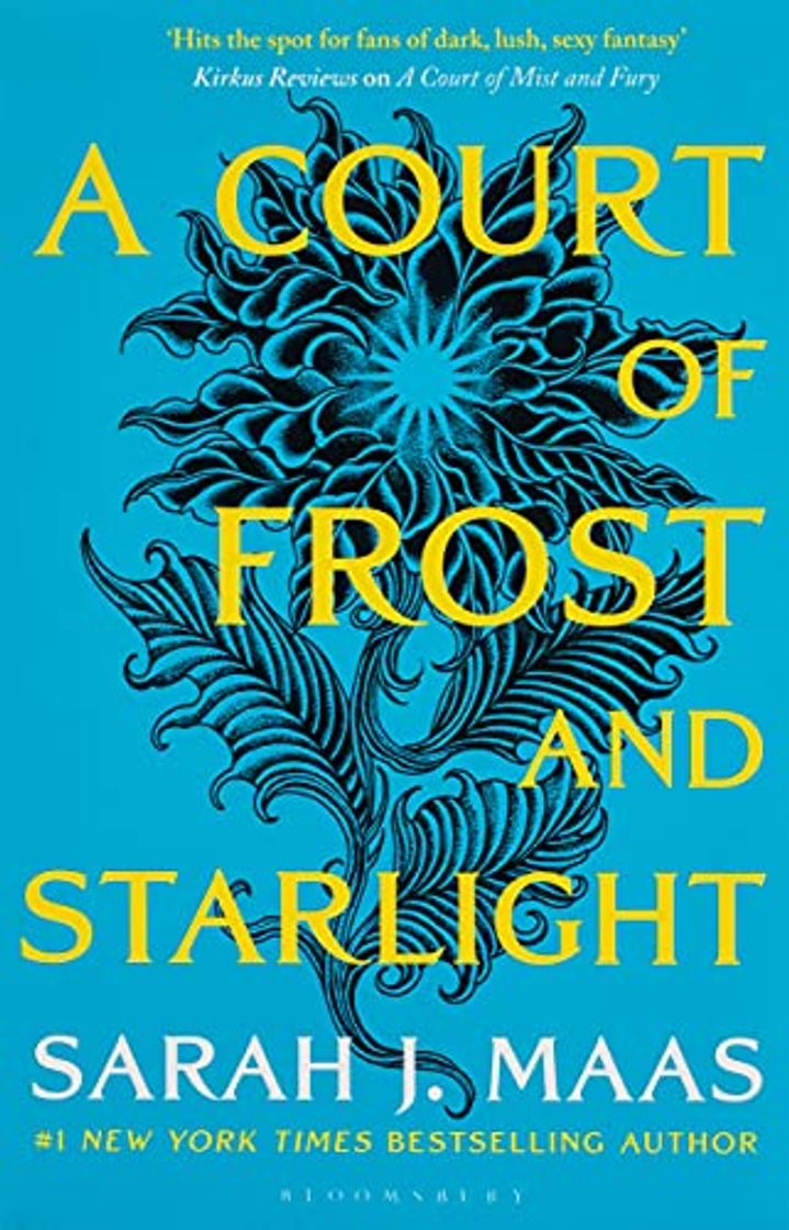 Book A Court Of Frost And Starlight: The #1 bestselling series: 4