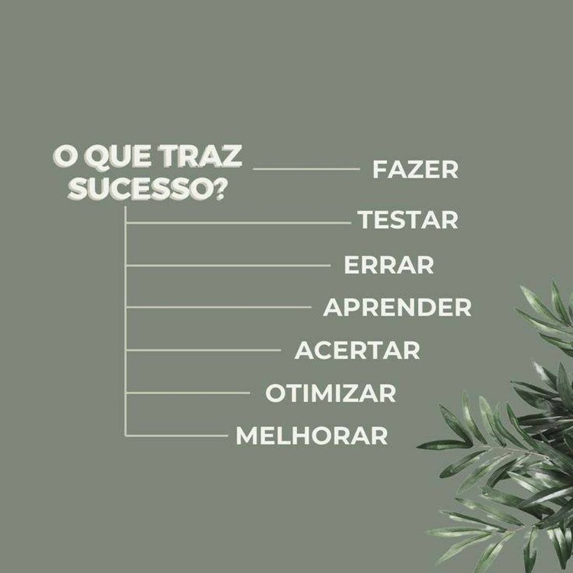 Moda O que trás sucesso?