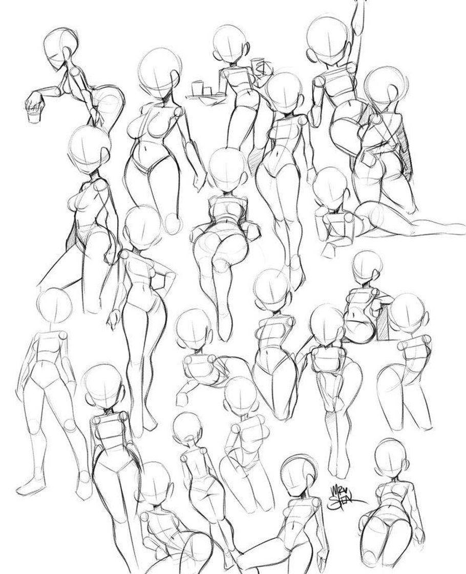 Social Anatomia humana