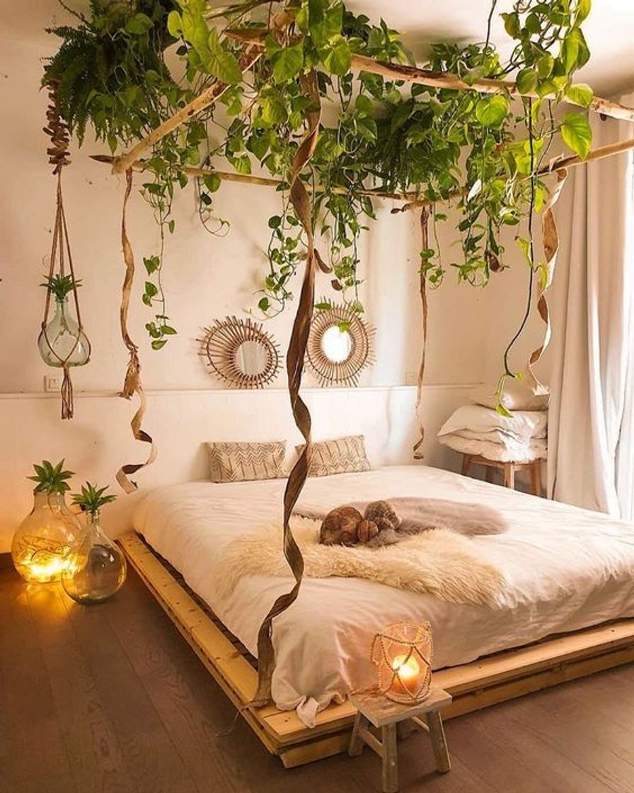 Moda Decoración para los amantes de las plantas 🌿🌱🍀🌳🍃