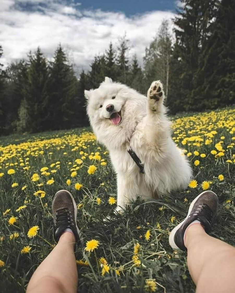 Fashion 🐶🌼