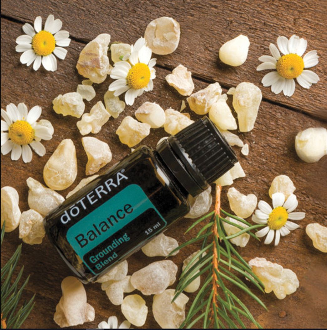 Belleza doTERRA Balance Essential Oil Grounding Blend 15 ml by doTERRA