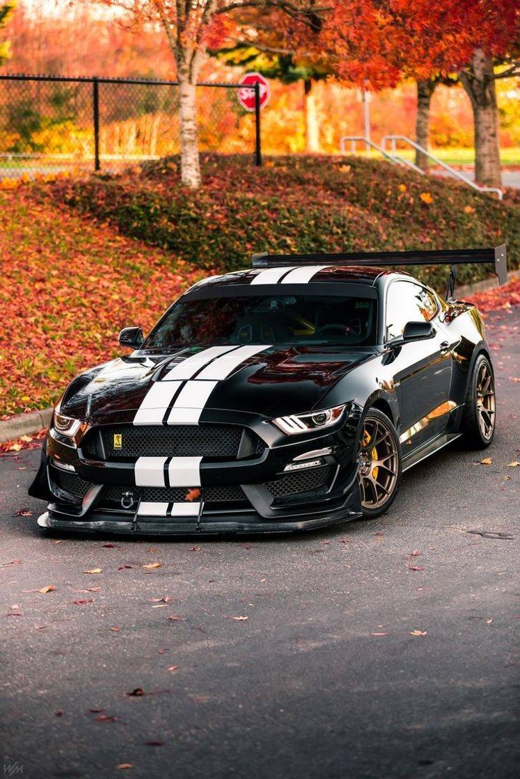 Fashion New Mustang 🖤