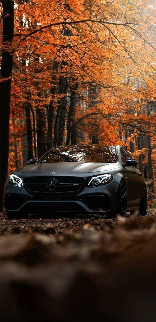 Social Mercedez Benz 🌊