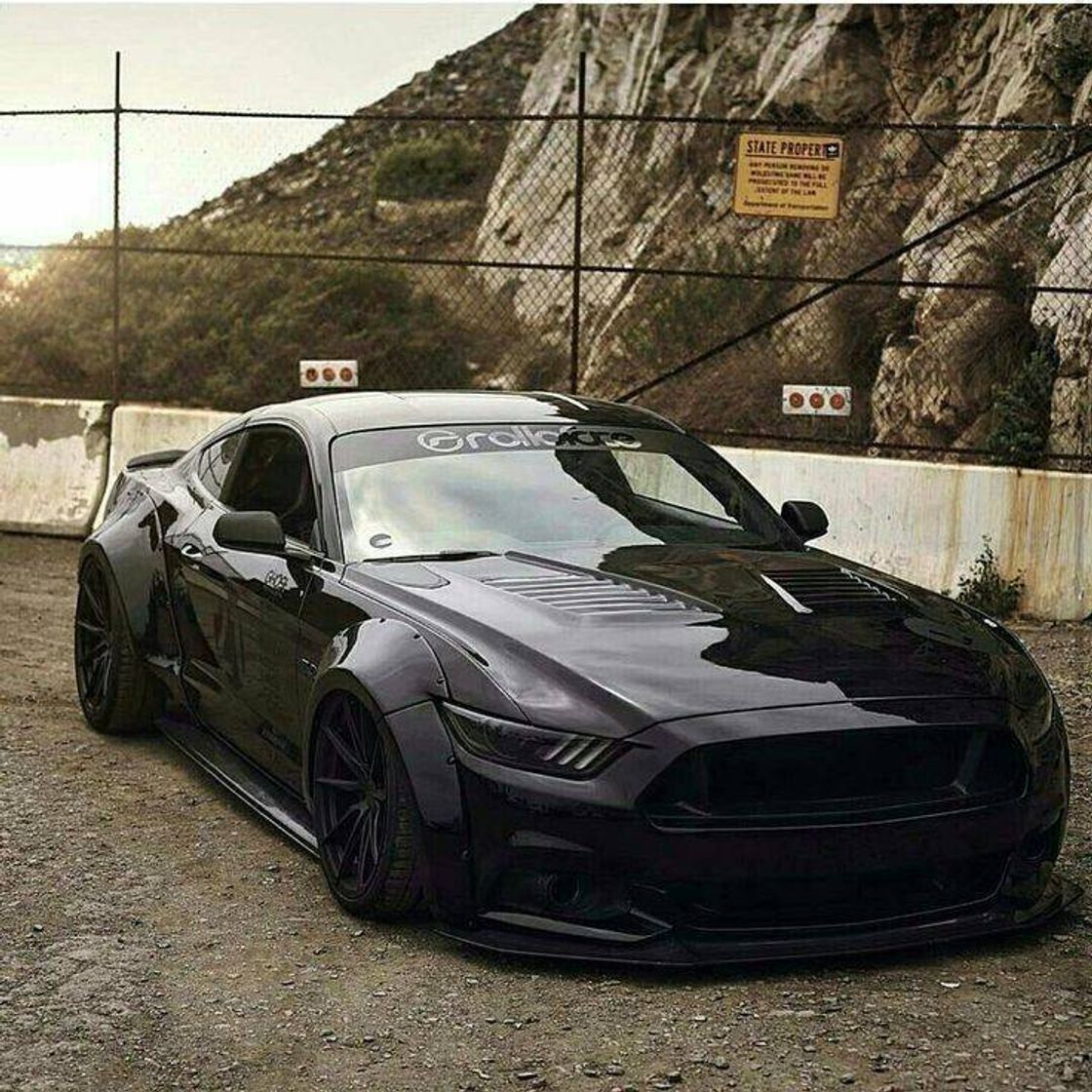 Fashion Mustang 🖤