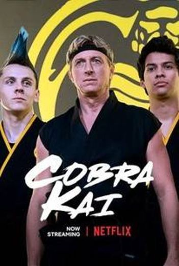 Cobra Kai | Netflix Official Site