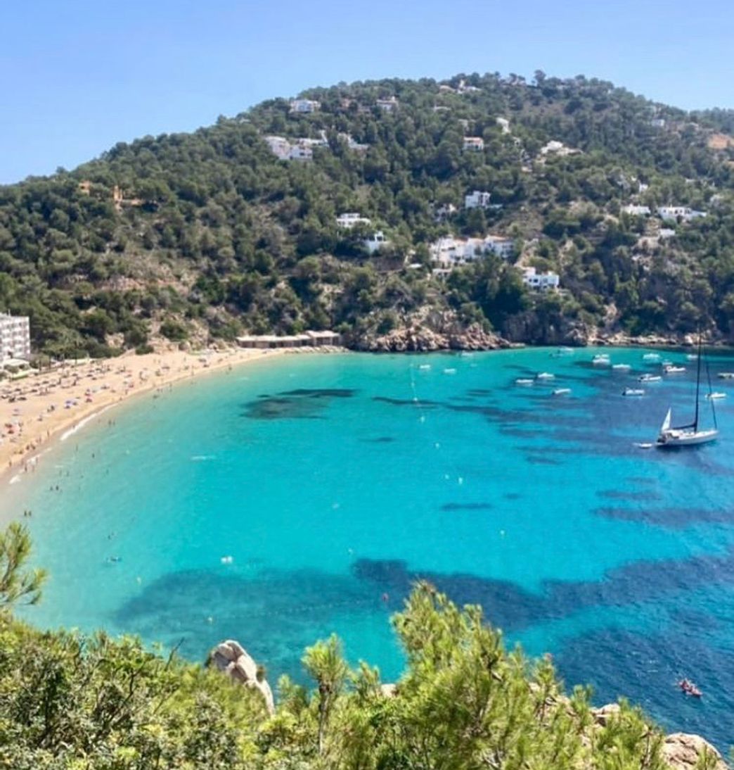 Restaurants Cala San Vicente