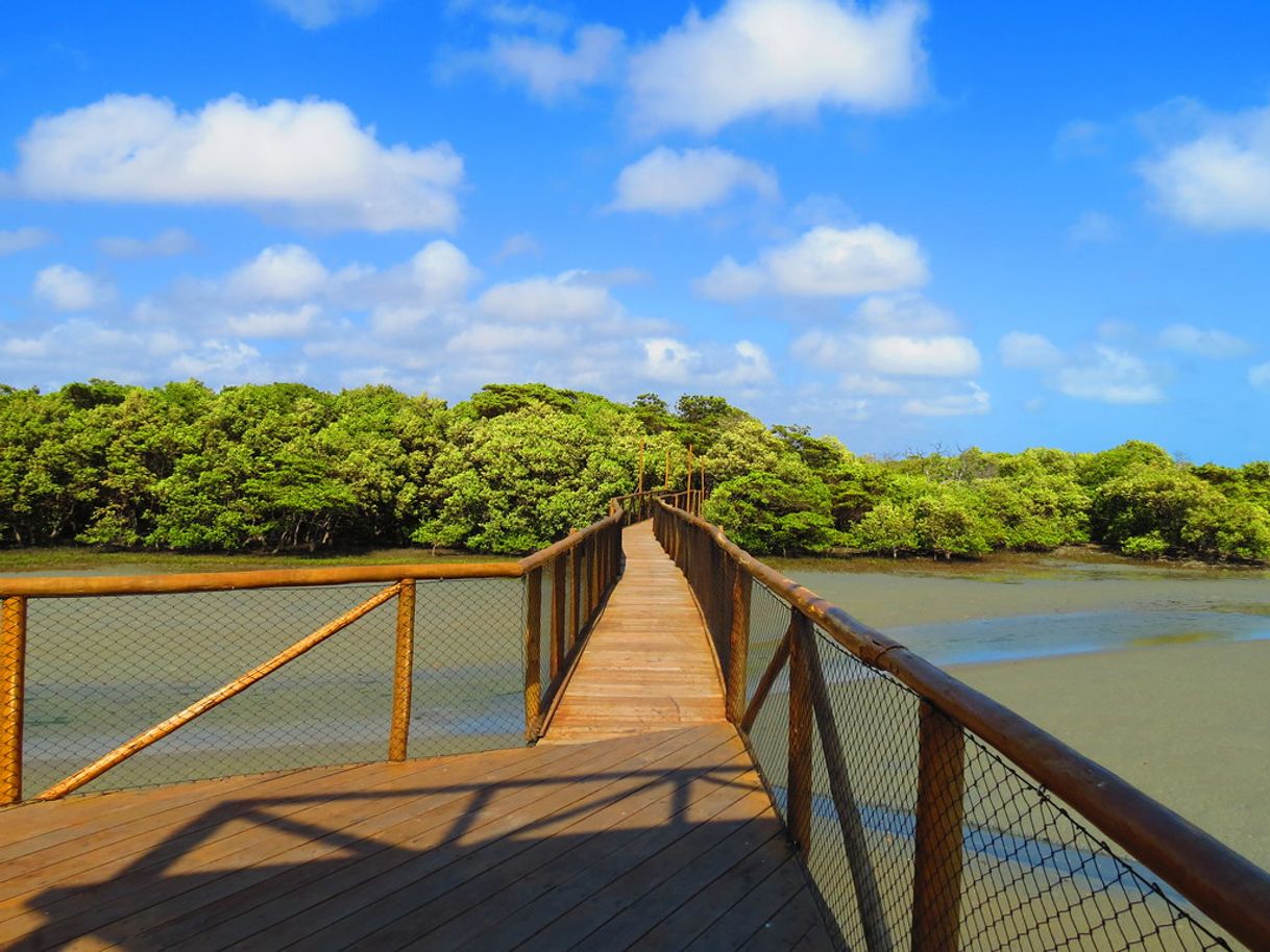 Place Praia de Requenguela