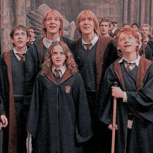 Hermione e os Weasleys