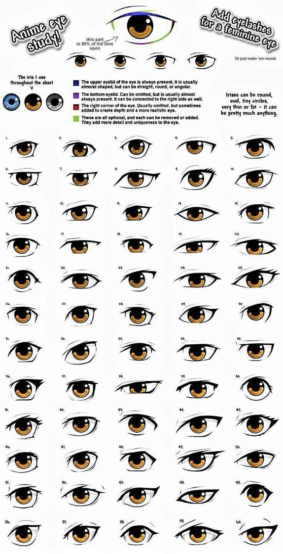 Moda Olhos