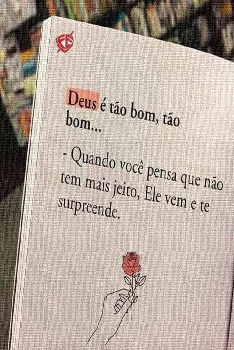 Fashion Motivação 