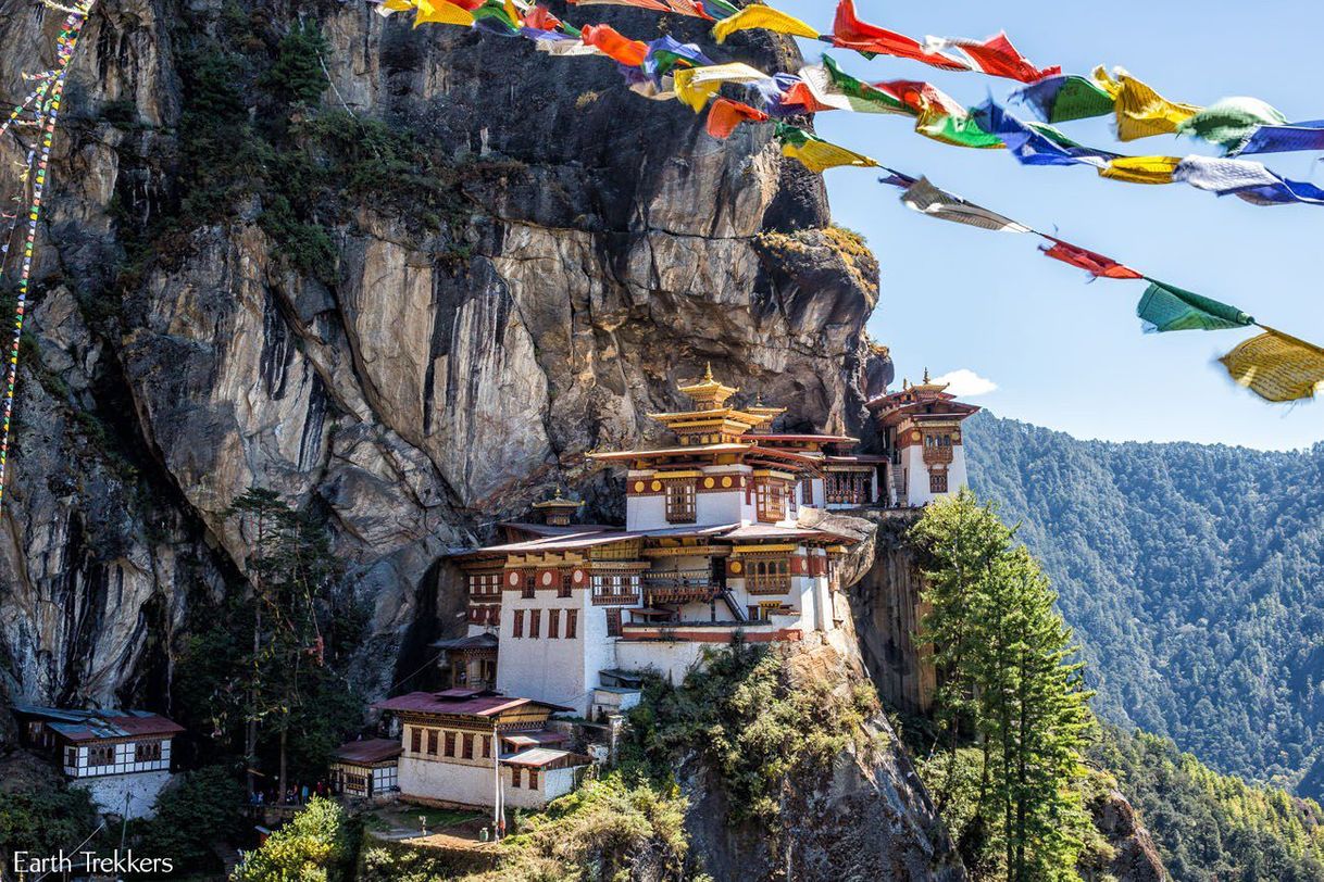 Place Tiger's Nest Resort – Eye of the Tiger