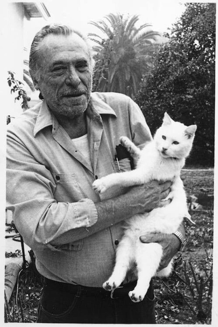 Book Sobre Gatos - Charles Bukowski